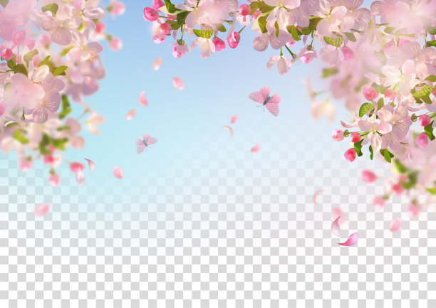 花瓣背景图案