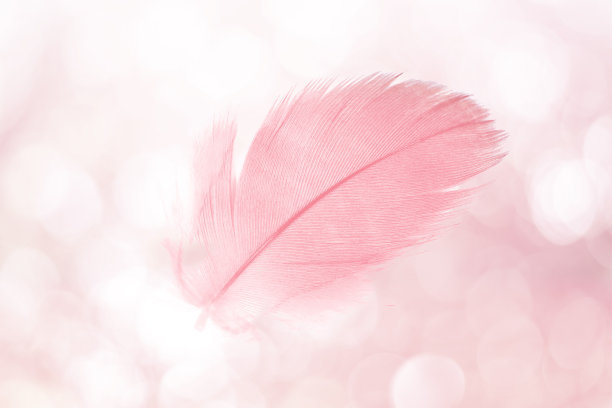 plumage