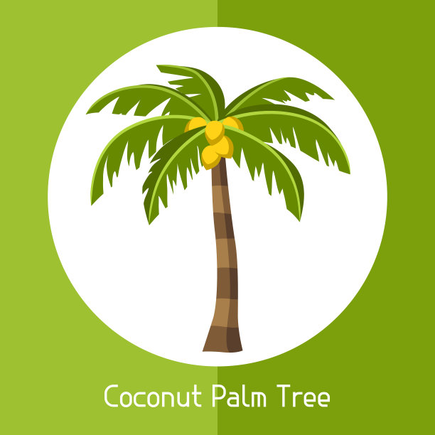 coconut