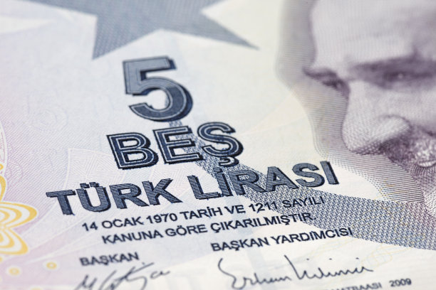 土耳其货币