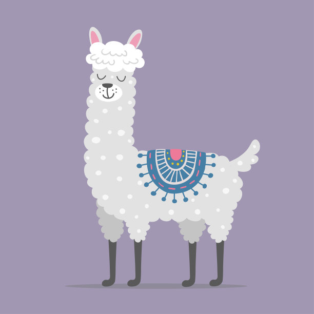 alpaca