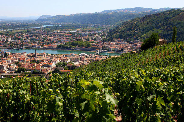 rhone
