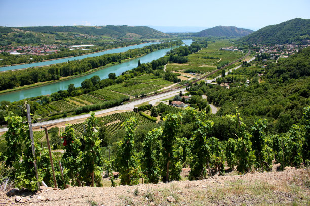 rhone