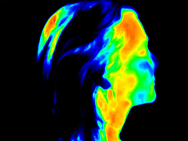 发光眼睛生物特写