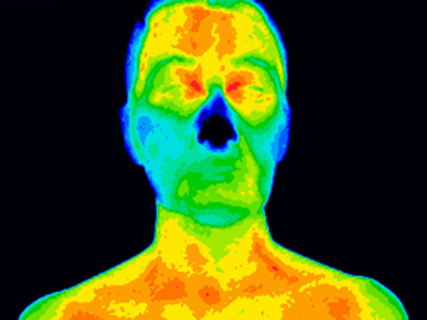 发光眼睛生物特写