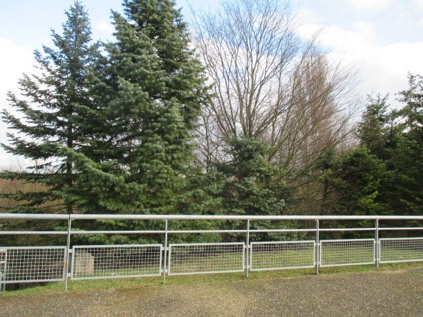 balustrade