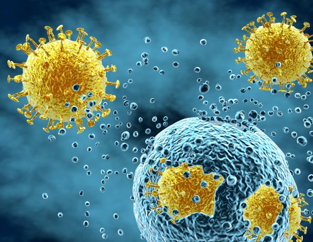bacteria