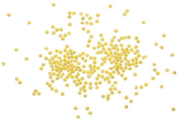 millet