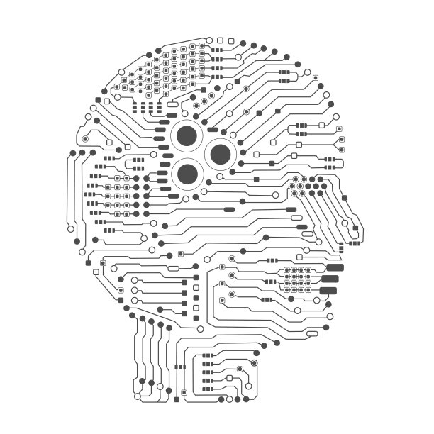 brain