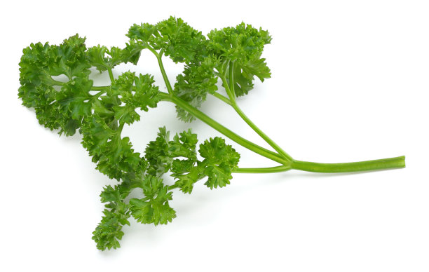 parsley