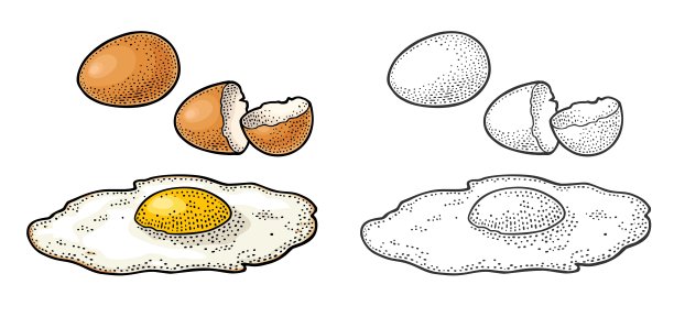 yolk