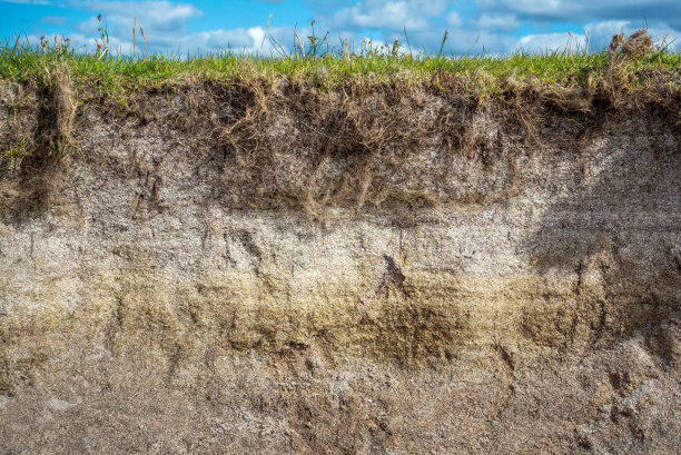 dirt