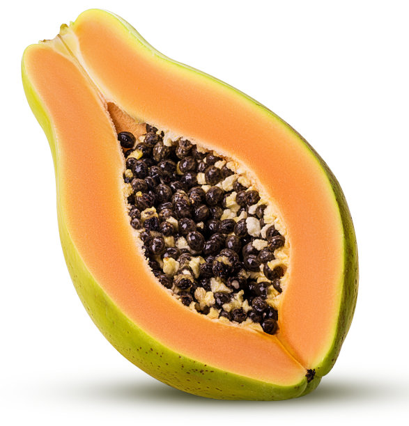 papaya