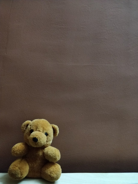 孤独的小熊玩偶