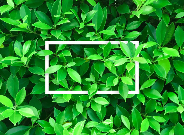 gren