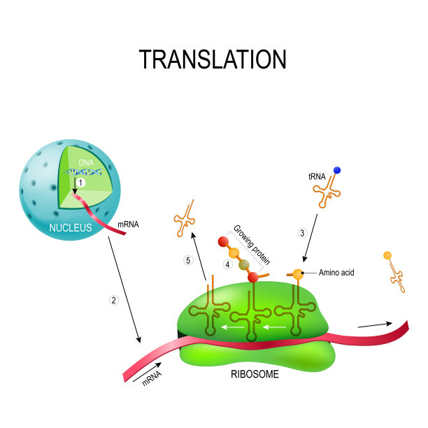 rna