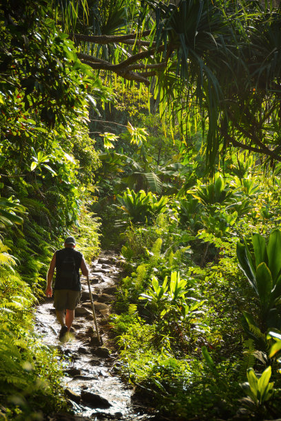 pathway
