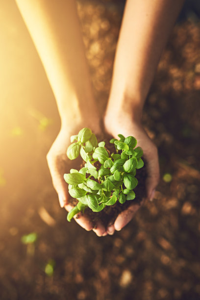eco