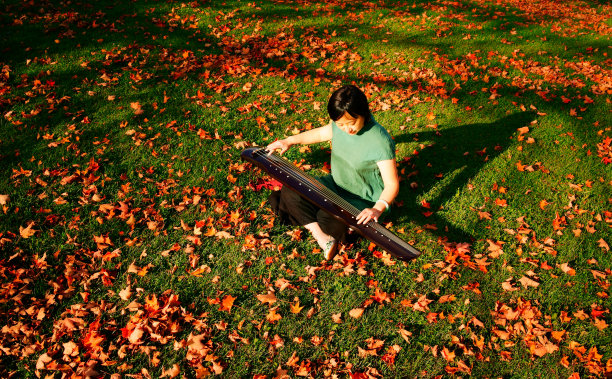 中国风花纹图案