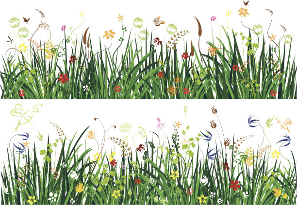 meadow