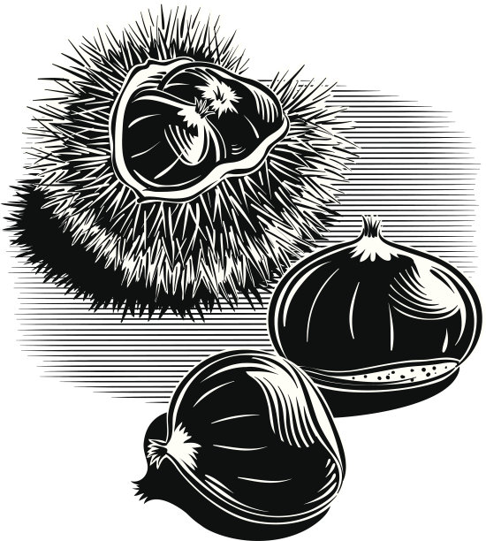 chestnut