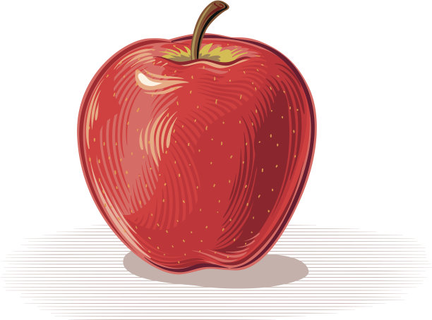 苹果插画