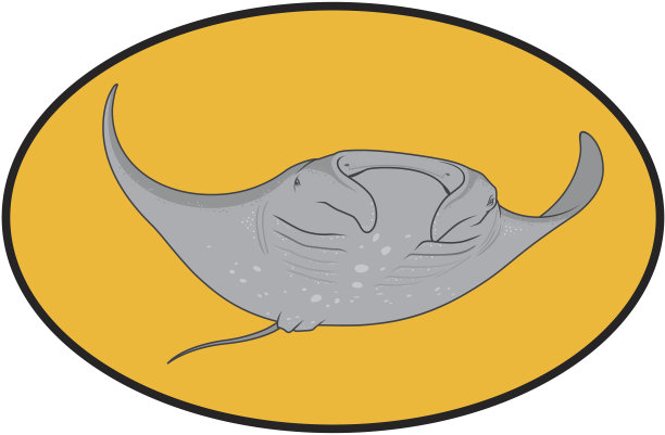 stingray