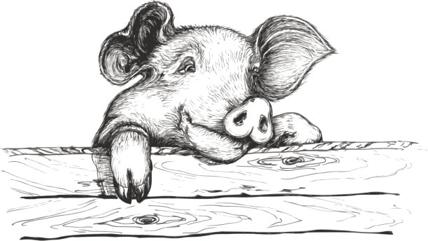 piggy