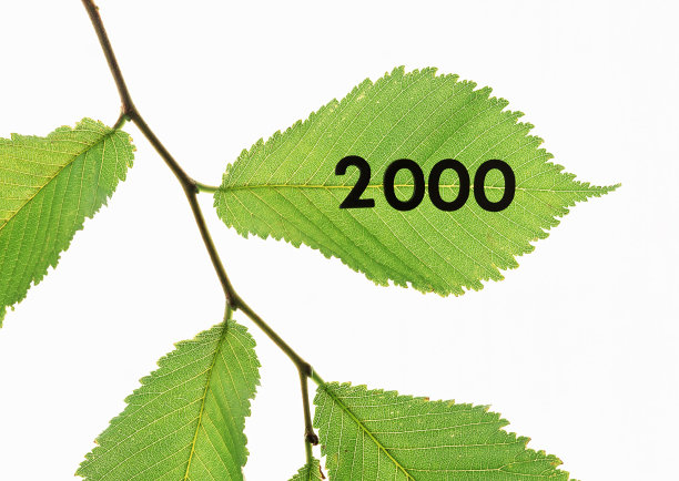 2000sstyle