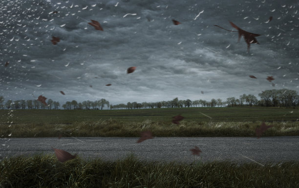 雨后宁静的路