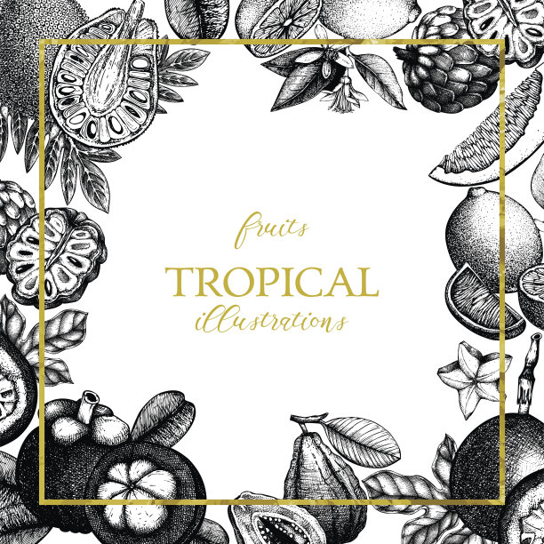 黄金百香果插画