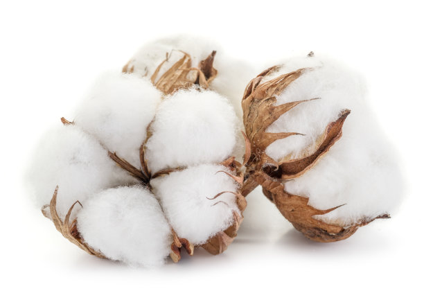 cotton