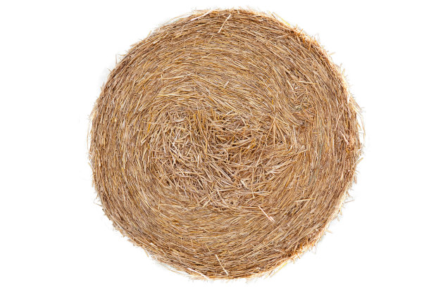 hay