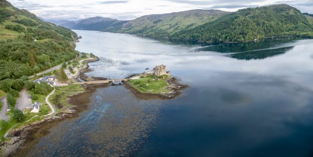 donan