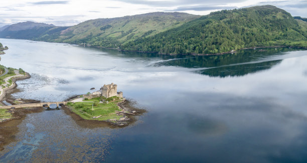 donan