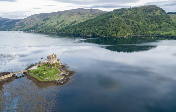 donan