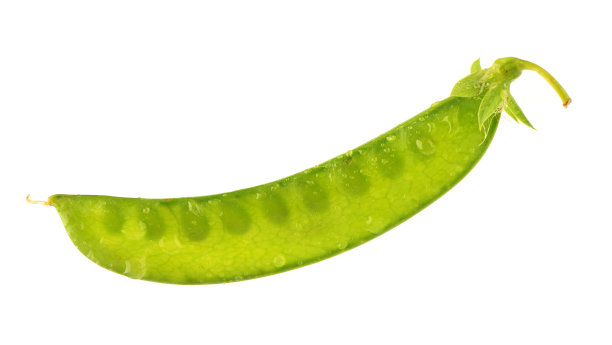 pod
