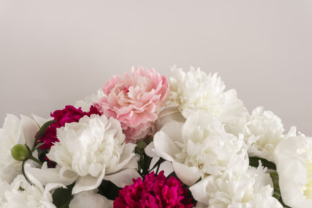 stamens