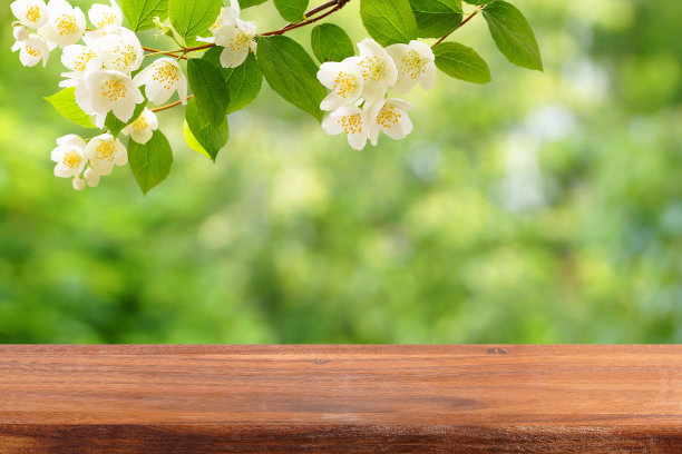 jasmine