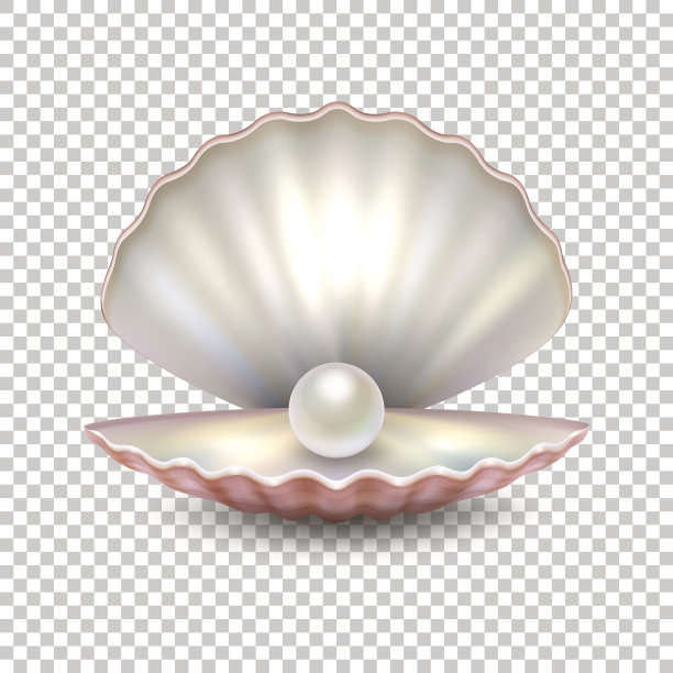 shells