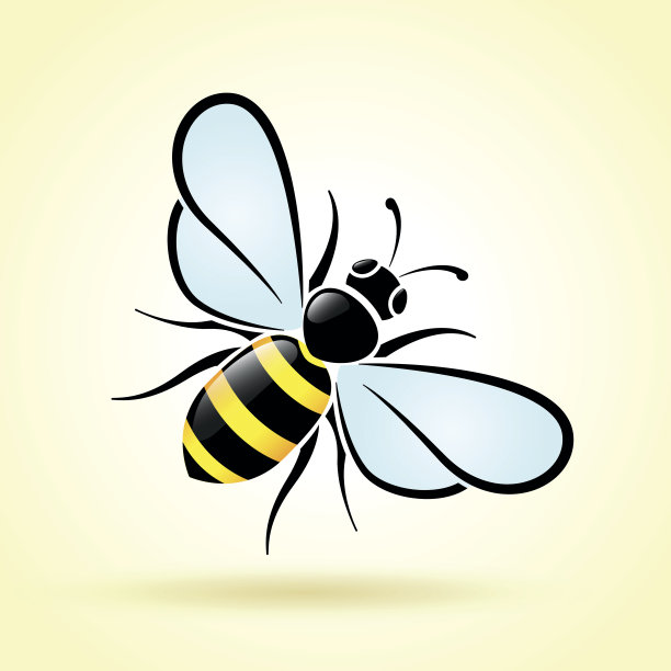 蜜蜂设计