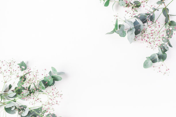 木质花纹