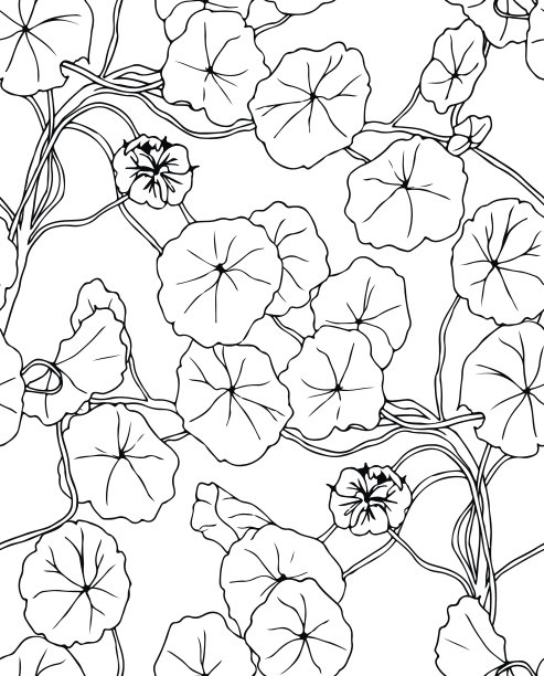花草图案 古朴线描花卉底纹