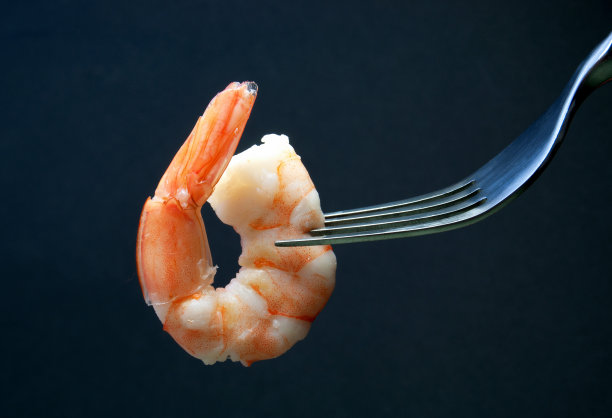 shrimp