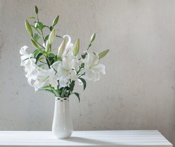 lilium