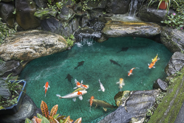 ponds