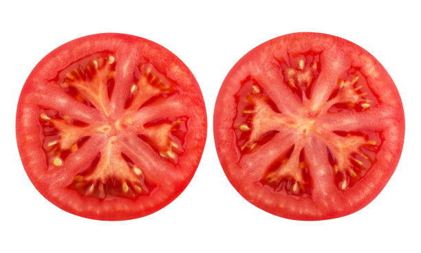 lycopersicon