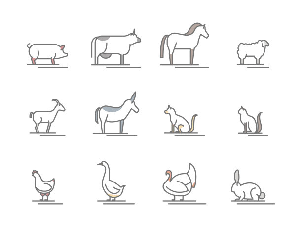 sheep
