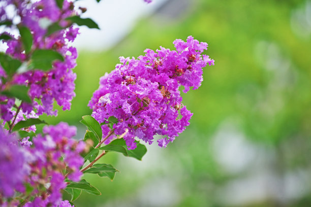 july