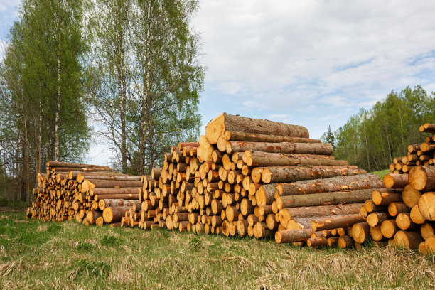 log